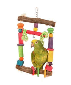 Parrot swing hot sale tricks